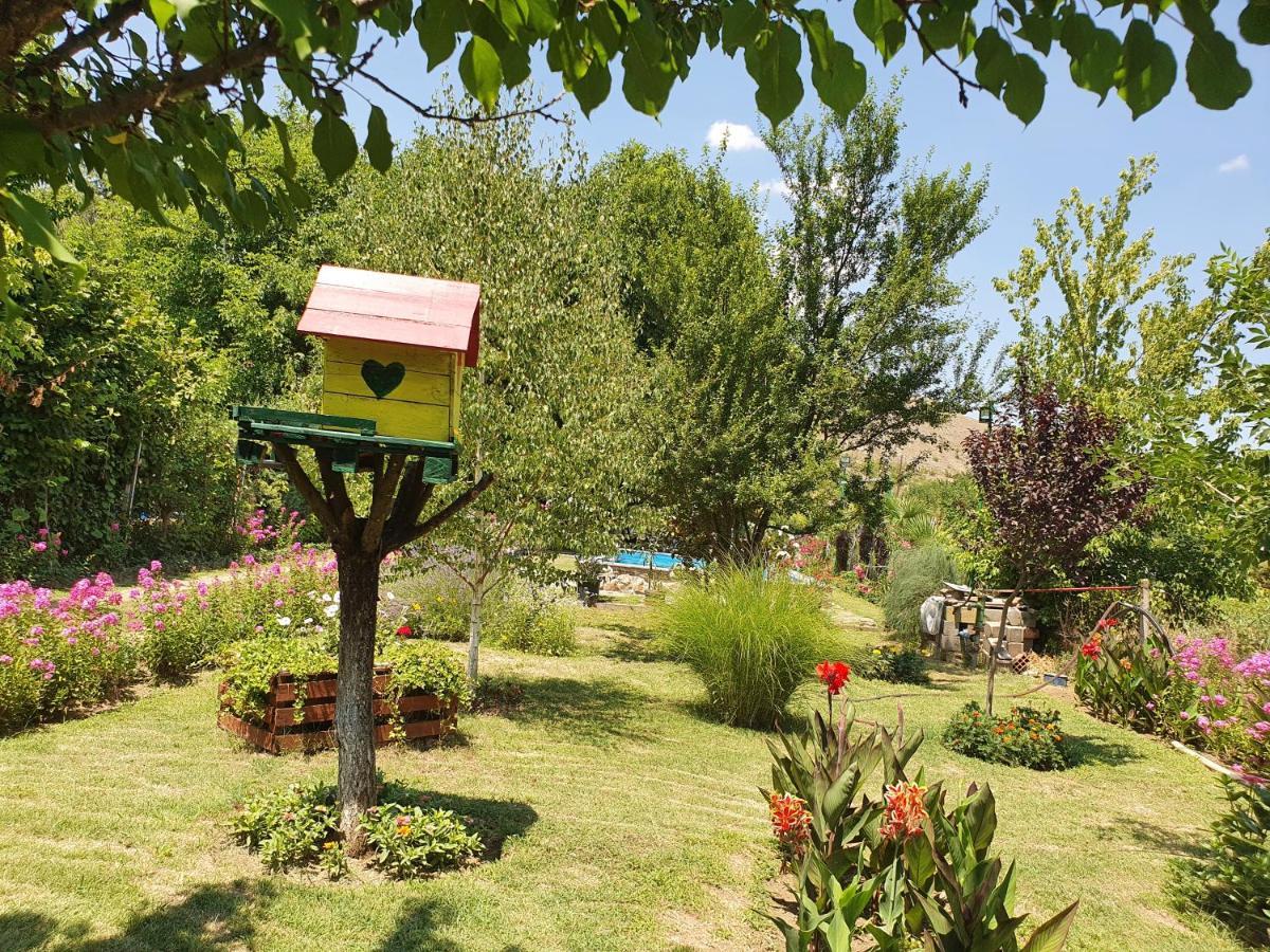 Villa Danica House Krivolak Exterior foto